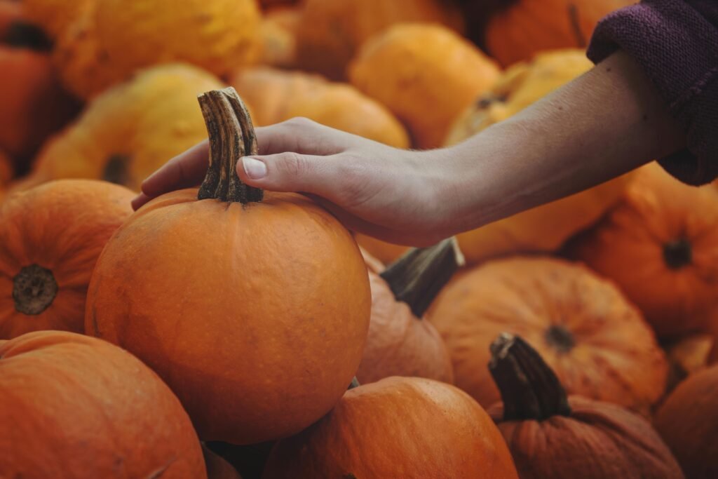 A hand selecting a fresh pumpkin from a harvest pile, symbolizing fall season abundance.