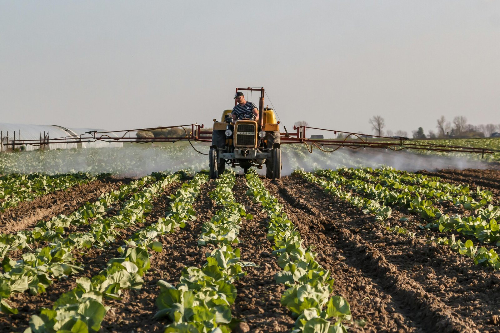 fertilizer and agricultural chemical.